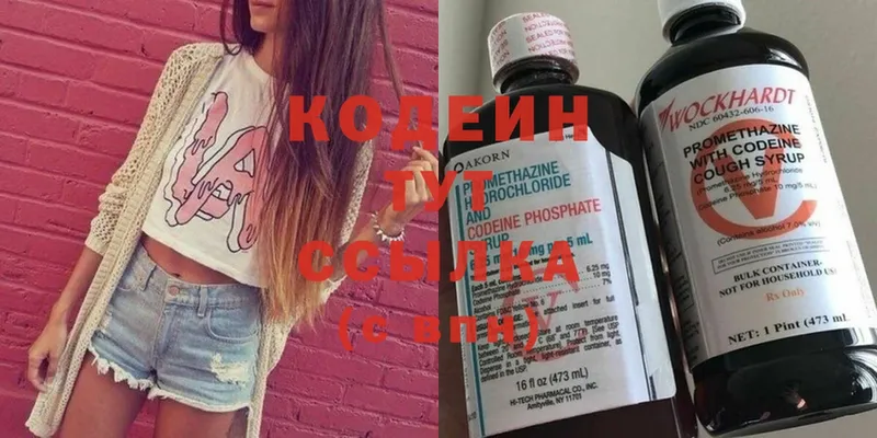 KRAKEN сайт  Каменногорск  Кодеин Purple Drank  наркошоп 